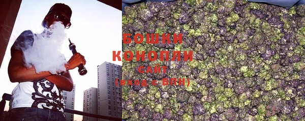 стаф Осташков