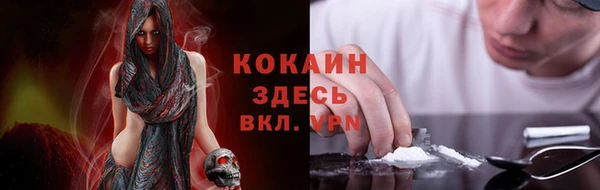 стаф Осташков