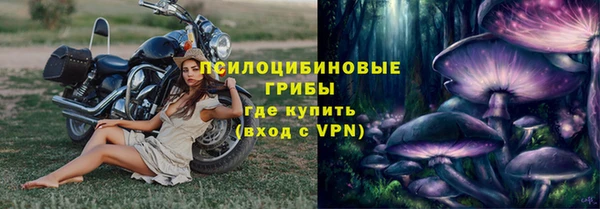 мдпв Усмань