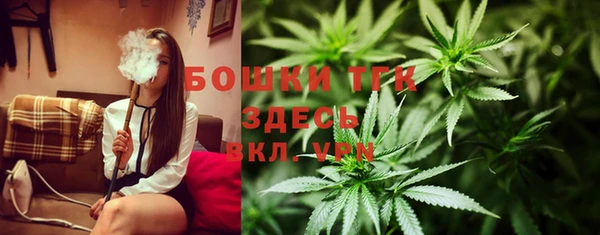 стаф Осташков