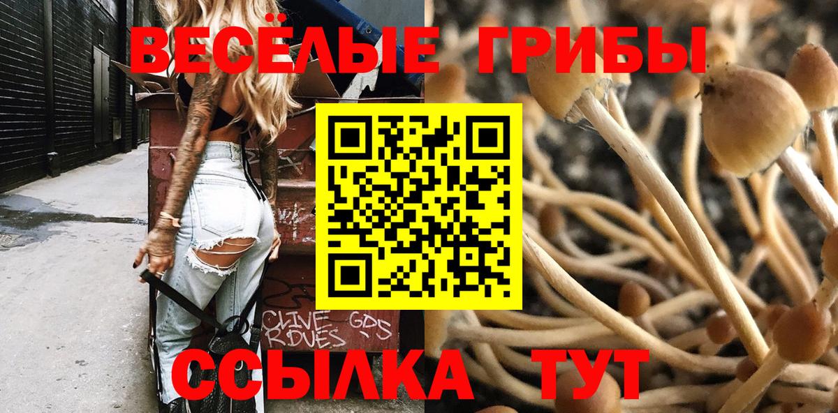 Галлюциногенные грибы Psilocybine cubensis  Вход с VPN  Алапаевск  Галлюциногенные грибы мухоморы 