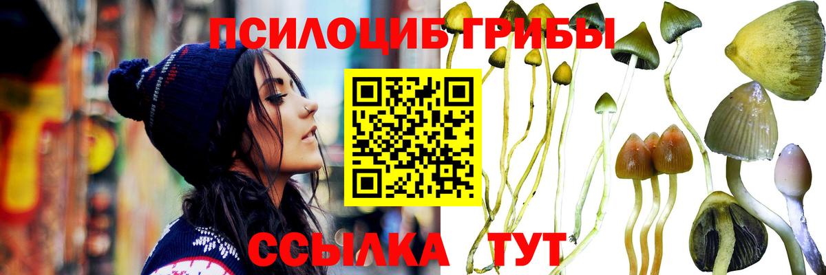 Галлюциногенные грибы Psilocybine cubensis Алапаевск